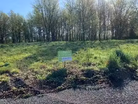vente terrain à challans (85300) : à vendre / challans