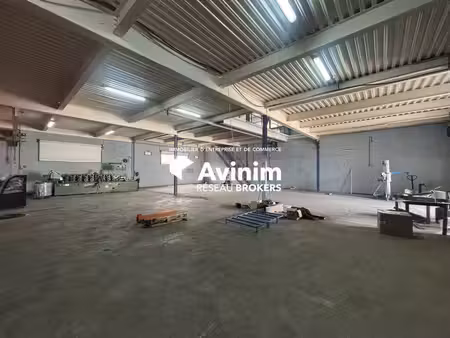location entrepôt baie mahault 97122 600m² à 1300m²