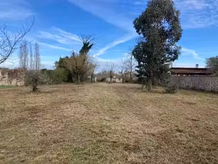 vente terrain 800 m² à saint-vivien-de-médoc (33590)  68 000 €