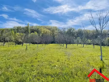 vente terrain 12801 m² à larche (19600)  65 400 €