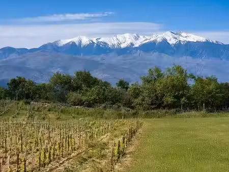 vente terrain 251.88 m² à perpignan (66000)  1 212 500 €