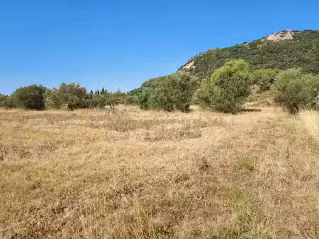 vente terrain 517 m² à gonfaron (83590)  125 000 €