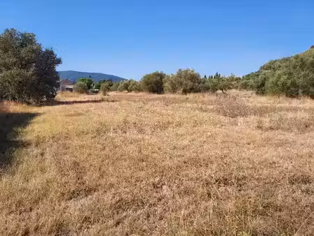 vente terrain 449 m² à gonfaron (83590)  125 000 €