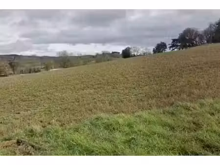 vente terrain 606 m² à aureville (31320)  138 000 €