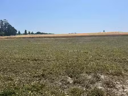 vente terrain 516 m² à mornac-sur-seudre (17113)  136 000 €