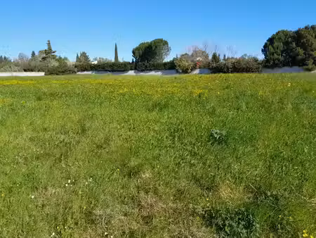 vente terrain 600 m² à l'isle-sur-la-sorgue (84800)  150 000 €