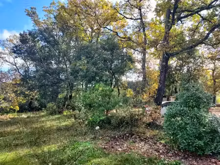 vente terrain 1000 m² à garéoult (83136)  168 000 €