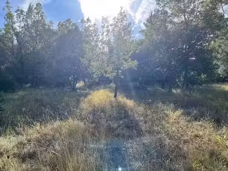 vente terrain 1800 m² à rocbaron (83136)  175 000 €