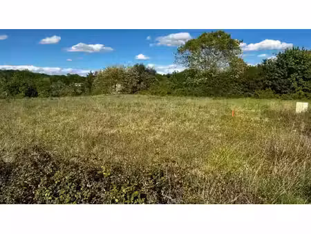 vente terrain 6500 m² à saint-caprais-de-bordeaux (33880)  185 000 €