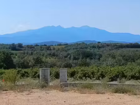 vente terrain 1064 m² à tresserre (66300)  249 000 €