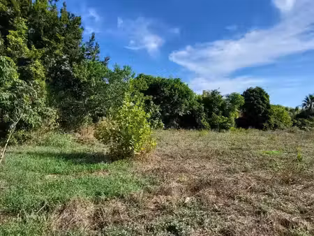 vente terrain 525 m² à hyeres (83400)  400 000 €