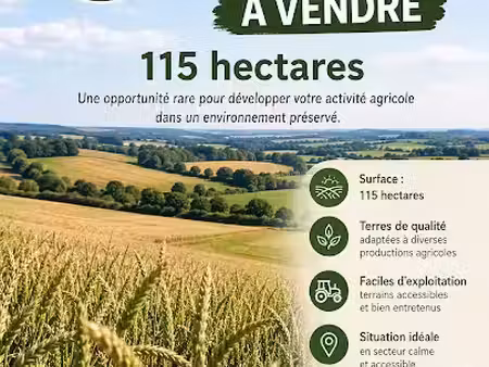 vente terrain 1150000 m² à queaux (86150)  555 450 €