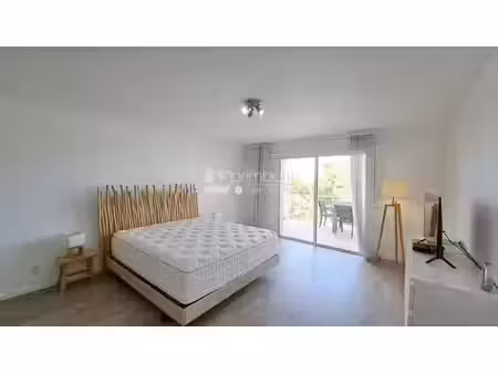 location appartement 1 pièce 45 m² à saint-martin (97150)  1 150 €