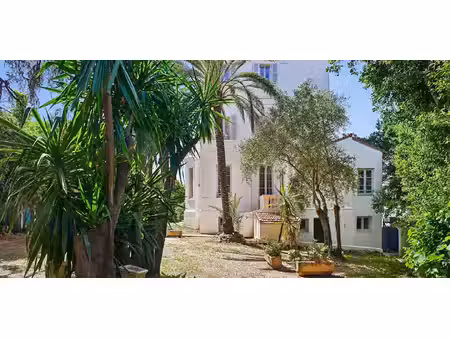 appartement cannes (06)