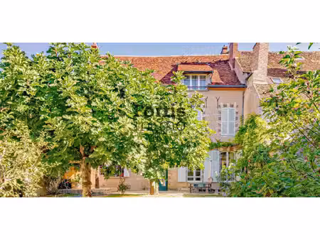 propriété bourg et hameaux rive droite - villeneuve-sur-yonne (89)