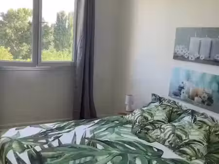 location appartement 1 pièce à merignac (33700)  530 €