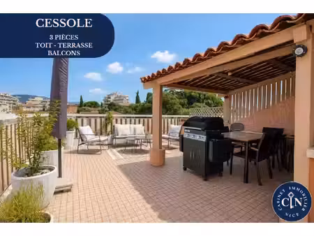 appartement 3 pièces rénové - toit-terrasse - cessole