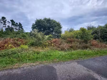 terrain non constructible à vendre crozon (29)