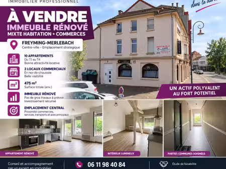 freyming-merlebach - immeuble de rapport mixte - 10 appartements - 2 commerces - 475 m2