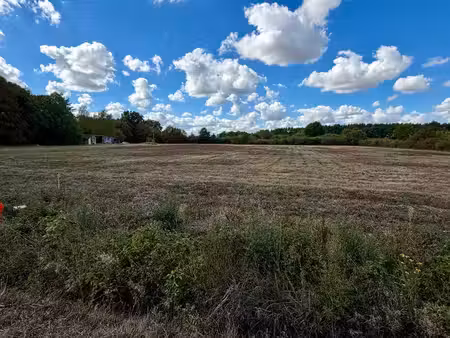 terrain