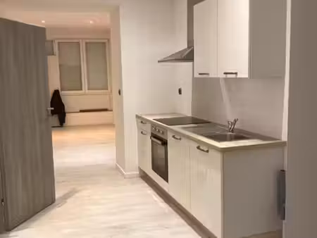 deux appartements de 40m2 chacun à thaon-les-vosges