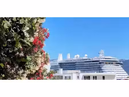 appartement avec terrasse la seyne-sur-mer (83)