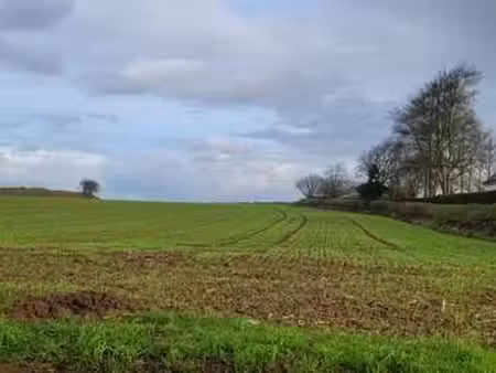 vente terrain à plouguerneau (29880) : à vendre / plouguerneau