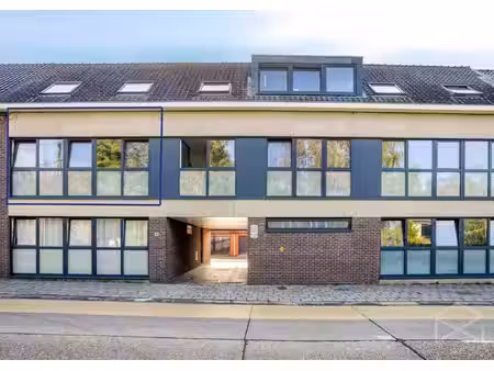 appartement te koop in tessenderlo-ham met 3 slaapkamers