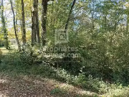 vente terrain 4515 m² à montgesty (46150)  13 030 €