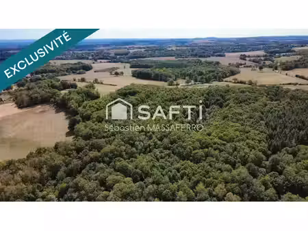 vente terrain 27685 m² à savigny-en-sancerre (18240)  24 000 €