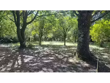 vente terrain 1768 m² à breuillet (17920)  29 000 €
