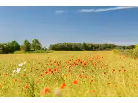 vente terrain 650 m² à gensac-la-pallue (16130)  29 250 €