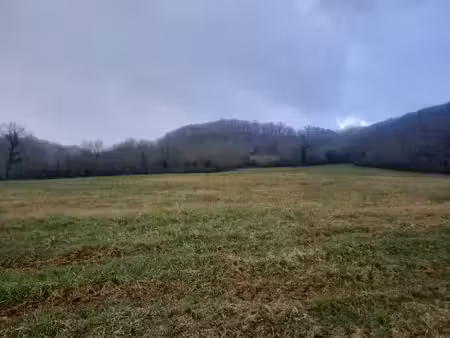 vente terrain 1254 m² à loubressac (46130)  31 350 €