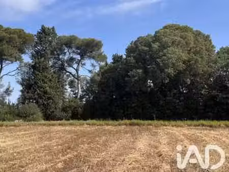 vente terrain à carpentras (84200) : à vendre / 221m² carpentras