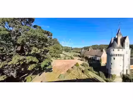château brou (28)
