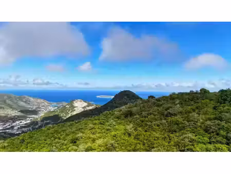 vente terrain 1626 m² la martyre (29800)