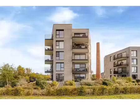 appartement te huur in niel met 2 slaapkamers