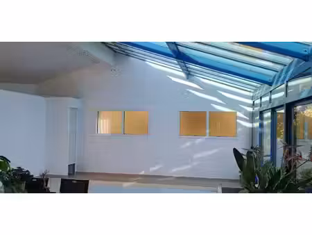 maison avec piscine et jardin la barre-de-monts (85)