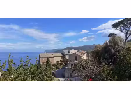 terrain pino (2b)