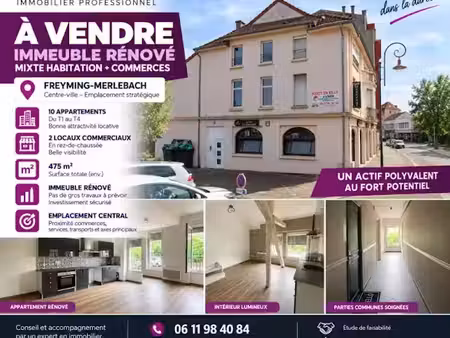 vente locaux professionnels 475 m² à freyming-merlebach (57800)  849 000 €