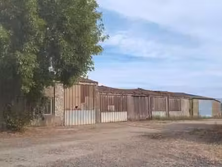 vente maison au loroux-bottereau (44430) : à vendre / 285m² le loroux-bottereau