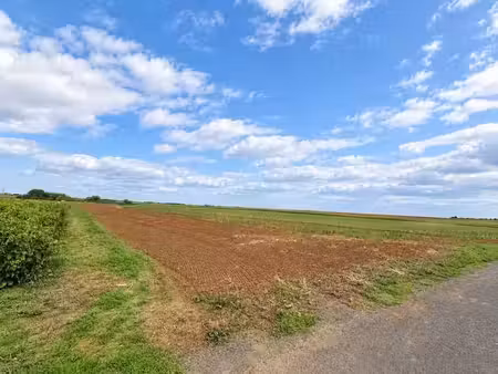 vente terrain 2241 m² à nalliers (85370)  49 000 €