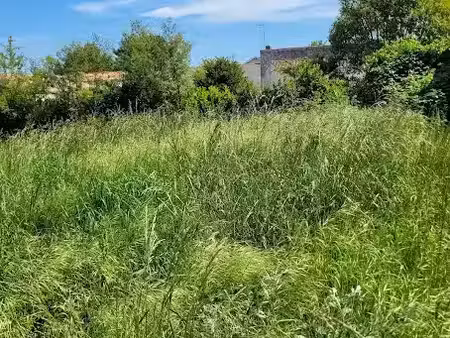 vente terrain 1043 m² à la tremblade (17390)  219 000 €