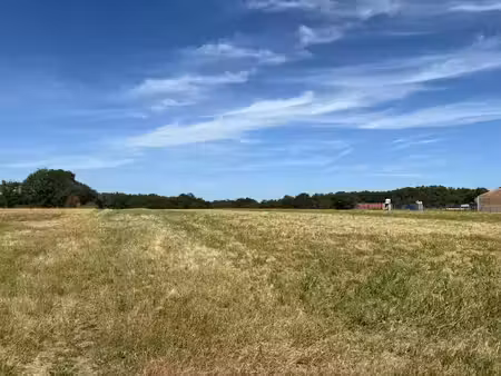 vente terrain 550 m² à paulhac (31380)  95 000 €