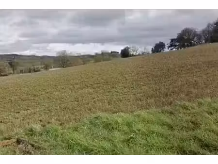 vente terrain 606 m² à rebigue (31320)  138 000 €