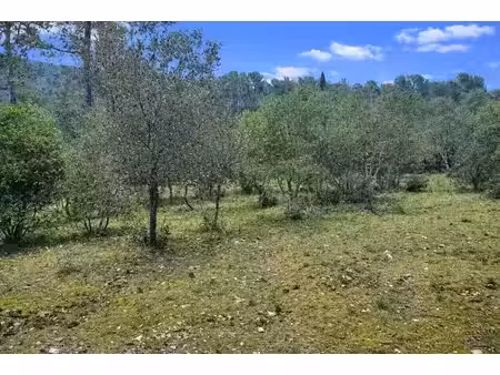 vente terrain 1001 m² à garéoult (83136)  169 000 €