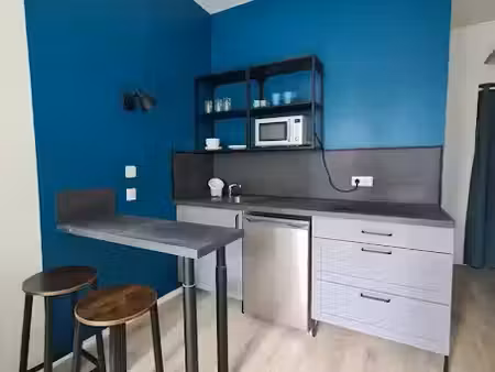 location meublée appartement 1 pièce 18 m² à nantes (44000)  505 €