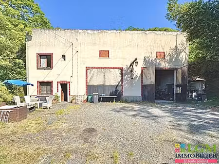 rabastens  maison à rénover et local professionnel à fort potentiel sur 3400 m² de terrain