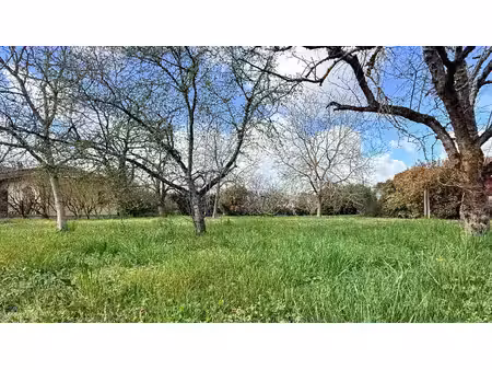à vendre terrain à bâtir de 1000 m2 à villaudric - 31620