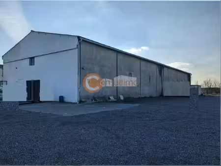 vente local commercial